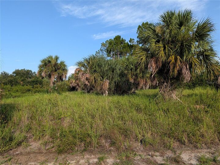 Property Photo: Delwood Drive FL 34288