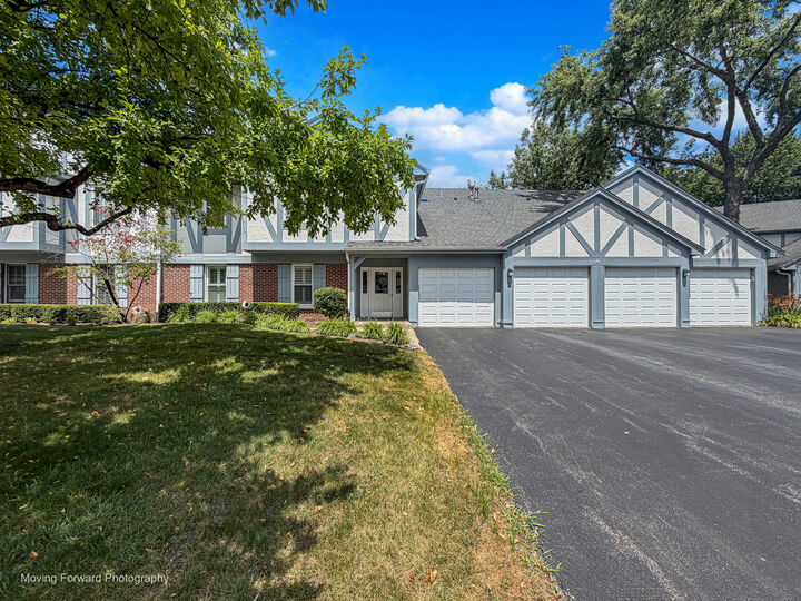 Property Photo:  16 W Fern Court 204  IL 60067 
