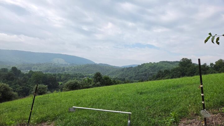 Property Photo: 0 Sinking Creek Road VA 24136