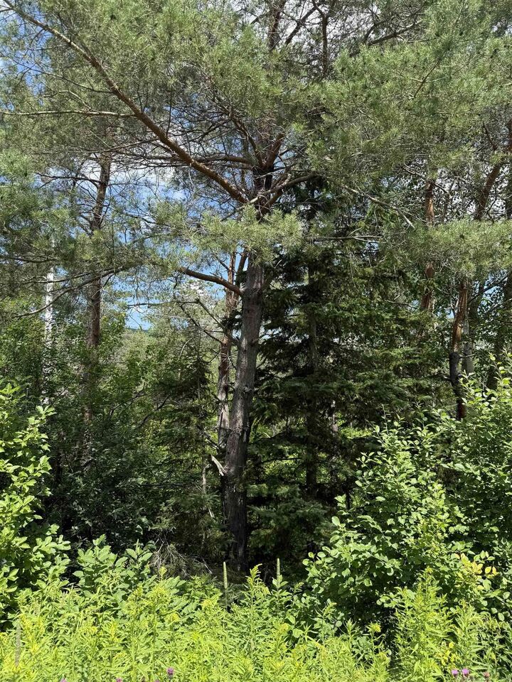 Property Photo:  Lot 1 & 2 Whycocomagh Port Hood Rd. Soapstone Mine  NS B0E 3M0 