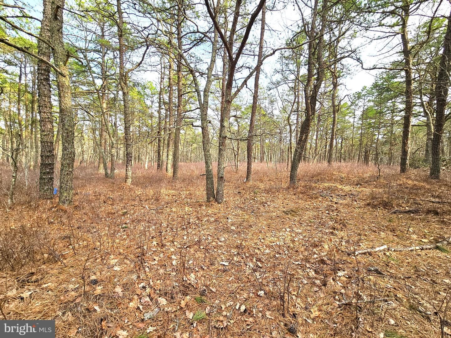Property Photo:  22 Pinewood Drive  NJ 08087 