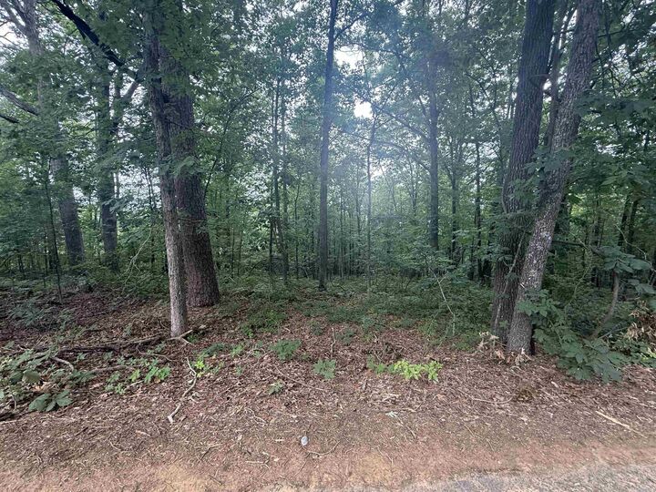 Property Photo:  Pine Drive  AR 72543-7790 