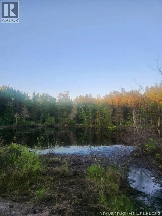 Property Photo:  37.8 Hec Bettsburg Road  NB E9C 1L1 