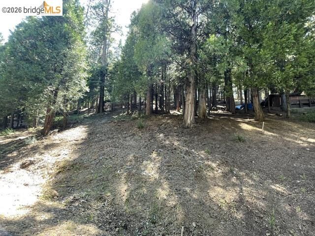 Property Photo: Parcel 34 Sno Bowl Rd CA 95346