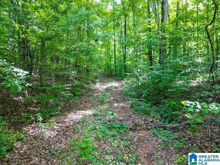 Property Photo:  0 Highway 431 0  AL 36274 