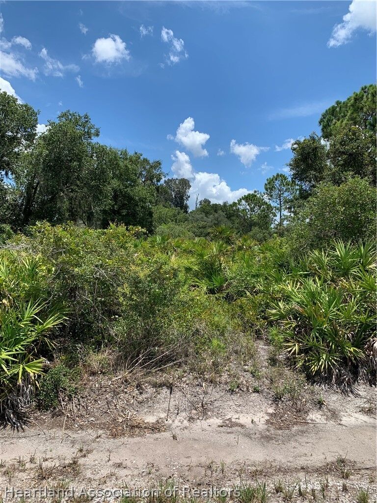 Property Photo: 1228 Cowhouse Road FL 33857