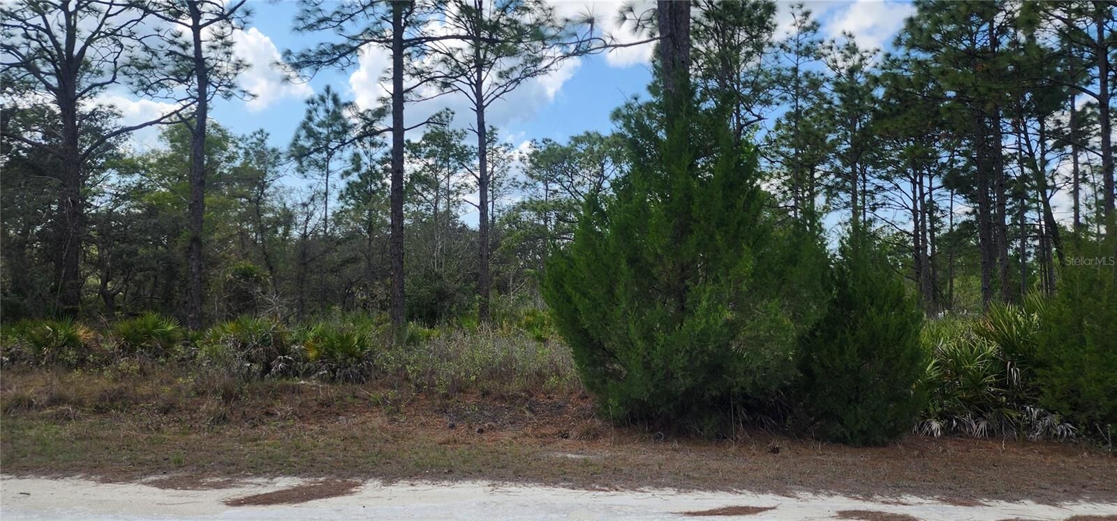 Property Photo:  18119 Parrot Road  FL 34614 