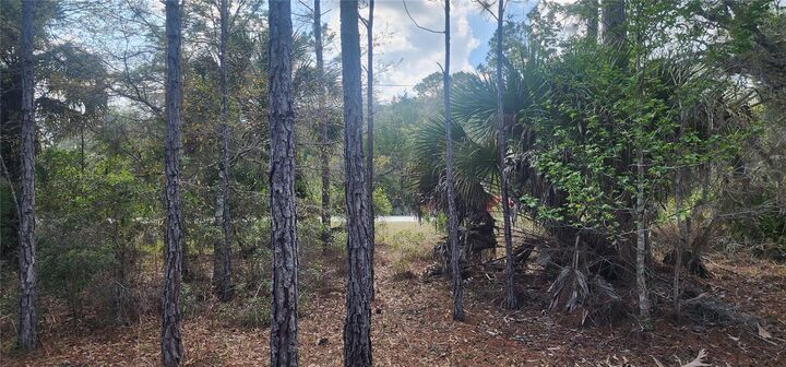 Property Photo:  18164 Retriever Road  FL 34614 