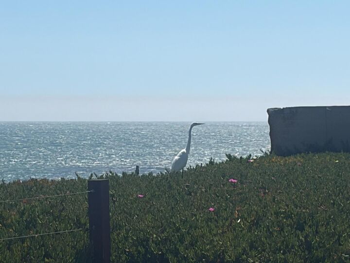 Property Photo:  2395 Delaware Avenue 126  CA 95060 