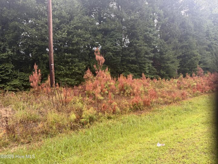 Property Photo:  000 Richlands Highway  NC 28540 