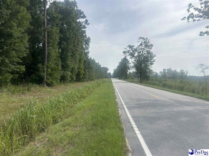 Property Photo:  Tbd Old #4 Highway  SC 29530 