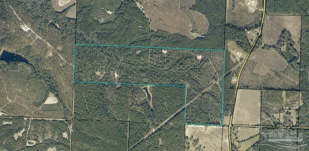 Property Photo:  0000 Senterfitt Rd  FL 32567 