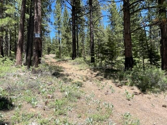 Property Photo: 019-080-028-0 Groundhog Rock CA 96125