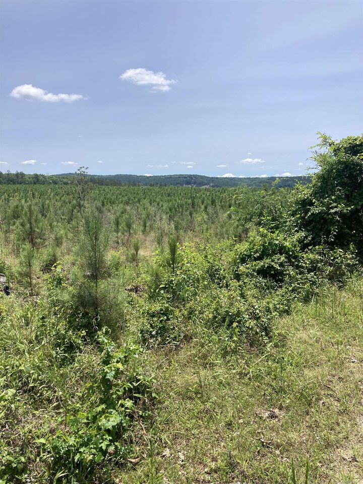 Property Photo:  1410 Block Of Beaudry Circle  AR 71949 