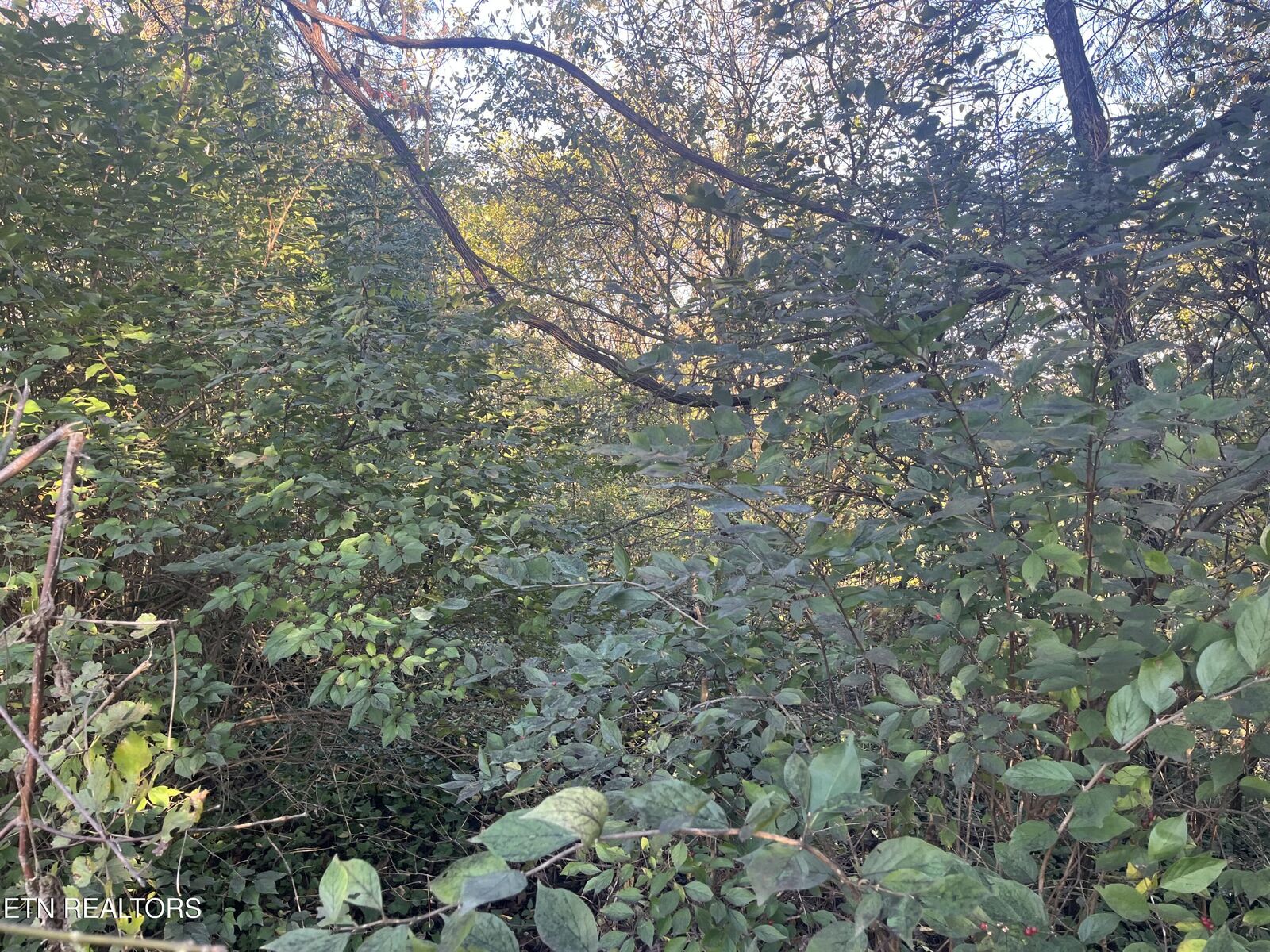Property Photo:  2917 Brooks Ave  TN 37914 