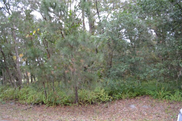 Property Photo:  0 Lincoln Street  FL 32771 