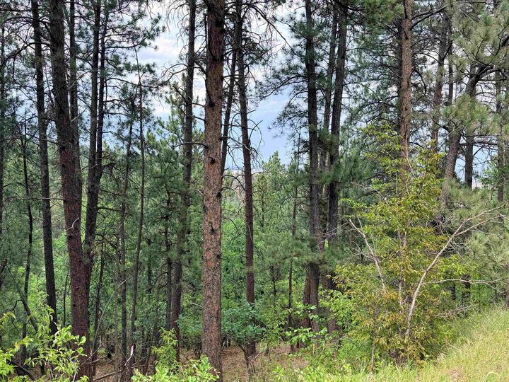 Property Photo:  Tbd Timberline Road  SD 57783-1120 