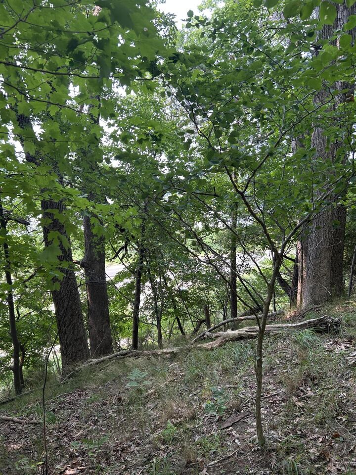 Property Photo:  Longbridge West Lot 7  MI 49449 