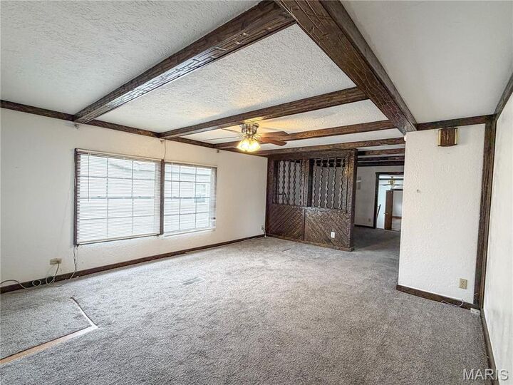 Property Photo:  226 Dixie Street  MO 63801 