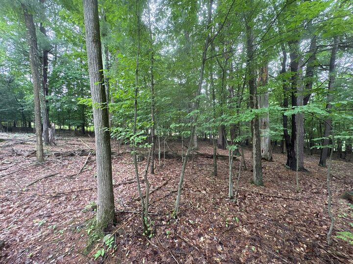 Property Photo:  Route 154  PA 17724 