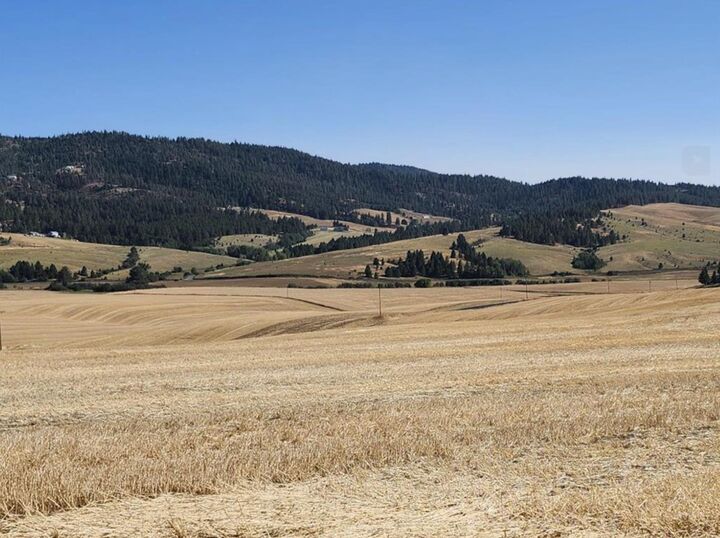 Property Photo:  Jackson S 8006 Rd  WA 99023 