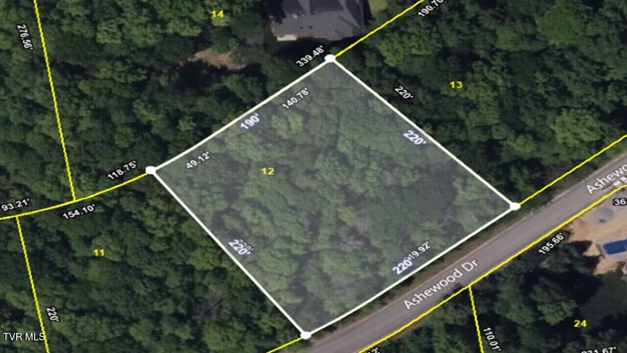 Property Photo:  113 Ashewood Drive  TN 37620 