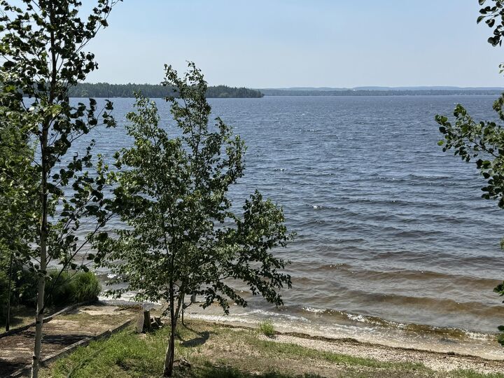 Property Photo:  15785 Paradise Lake Road  MI 49718 