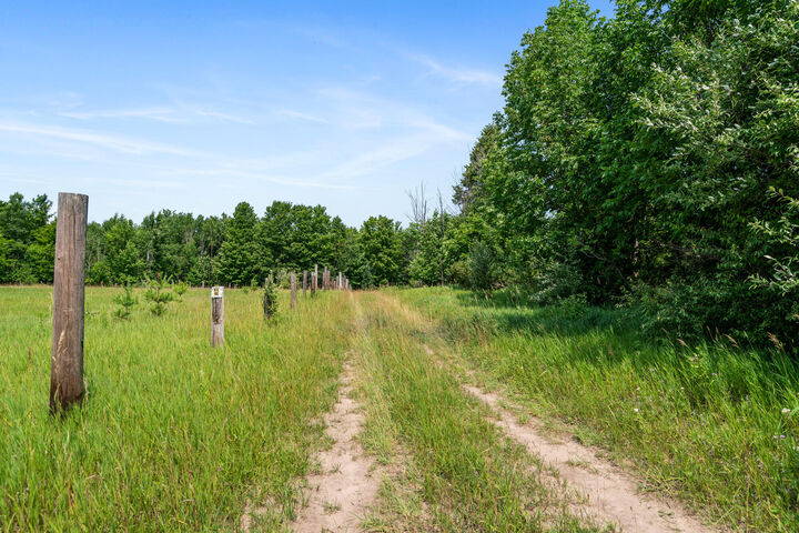 Property Photo: 10695 Hutchinson Highway MI 49765
