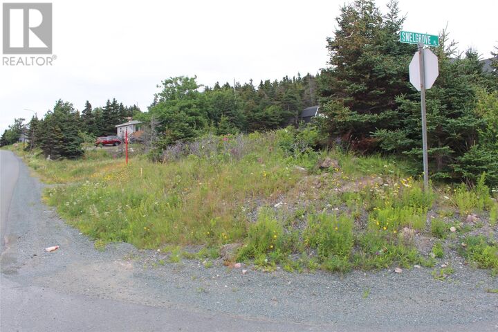 Property Photo:  289-291 Seal Cove Road  NL A1X 6S9 