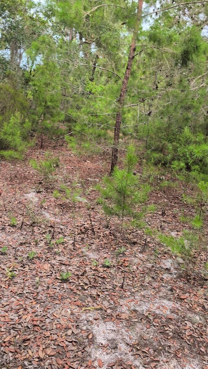 Property Photo:  102 B Street  FL 32148 