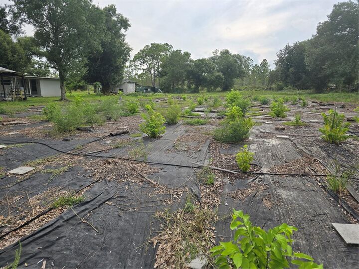 Property Photo: Swaying Palm Drive FL 33982