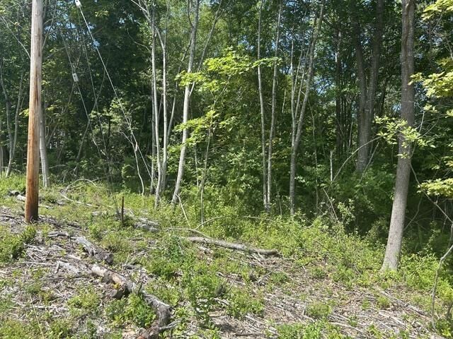 Property Photo:  Chestnut Avenue  NS B0P 1P0 
