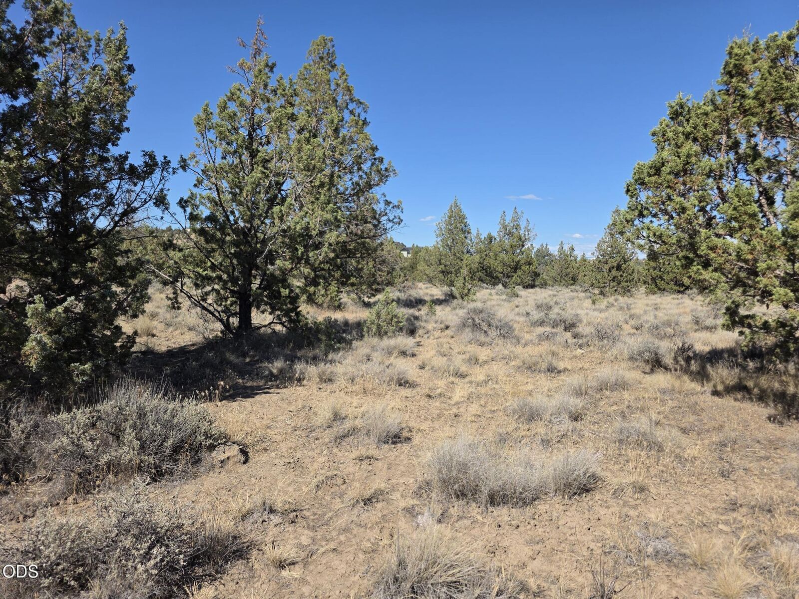 Property Photo:  SE Cayuse Road  OR 97754 