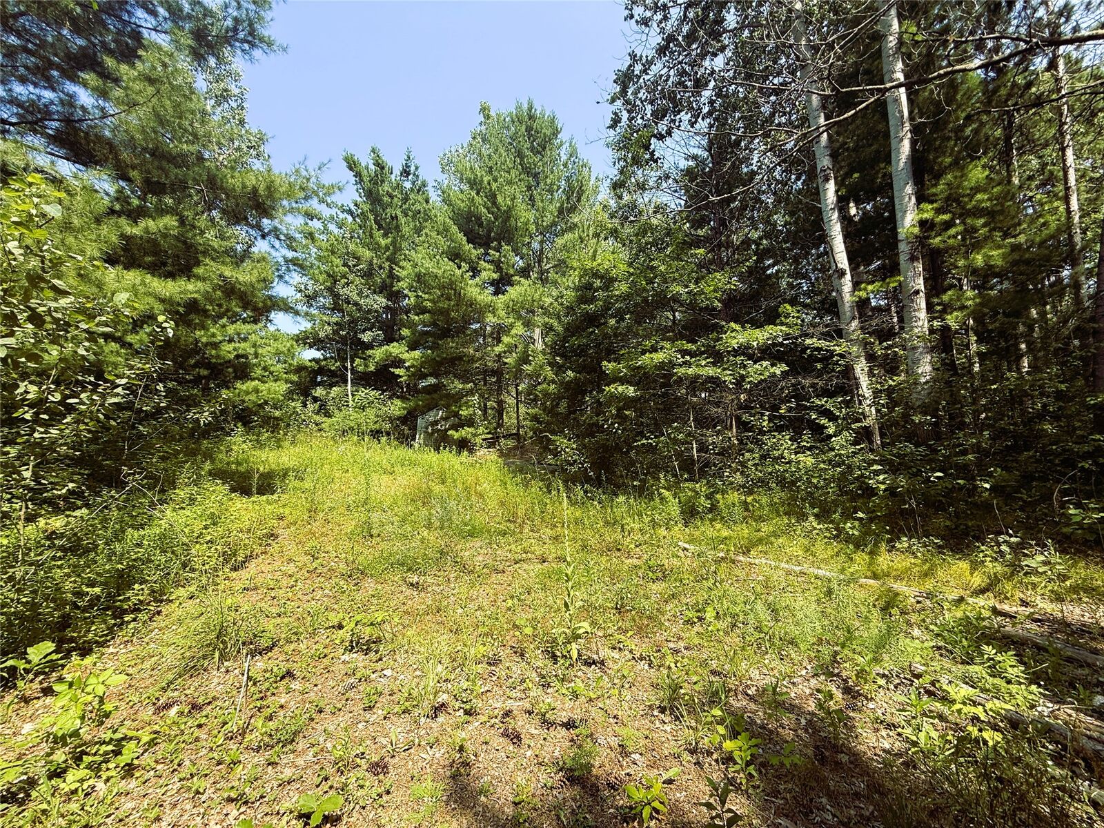 Property Photo: N3720 State Highway 40 WI 54819