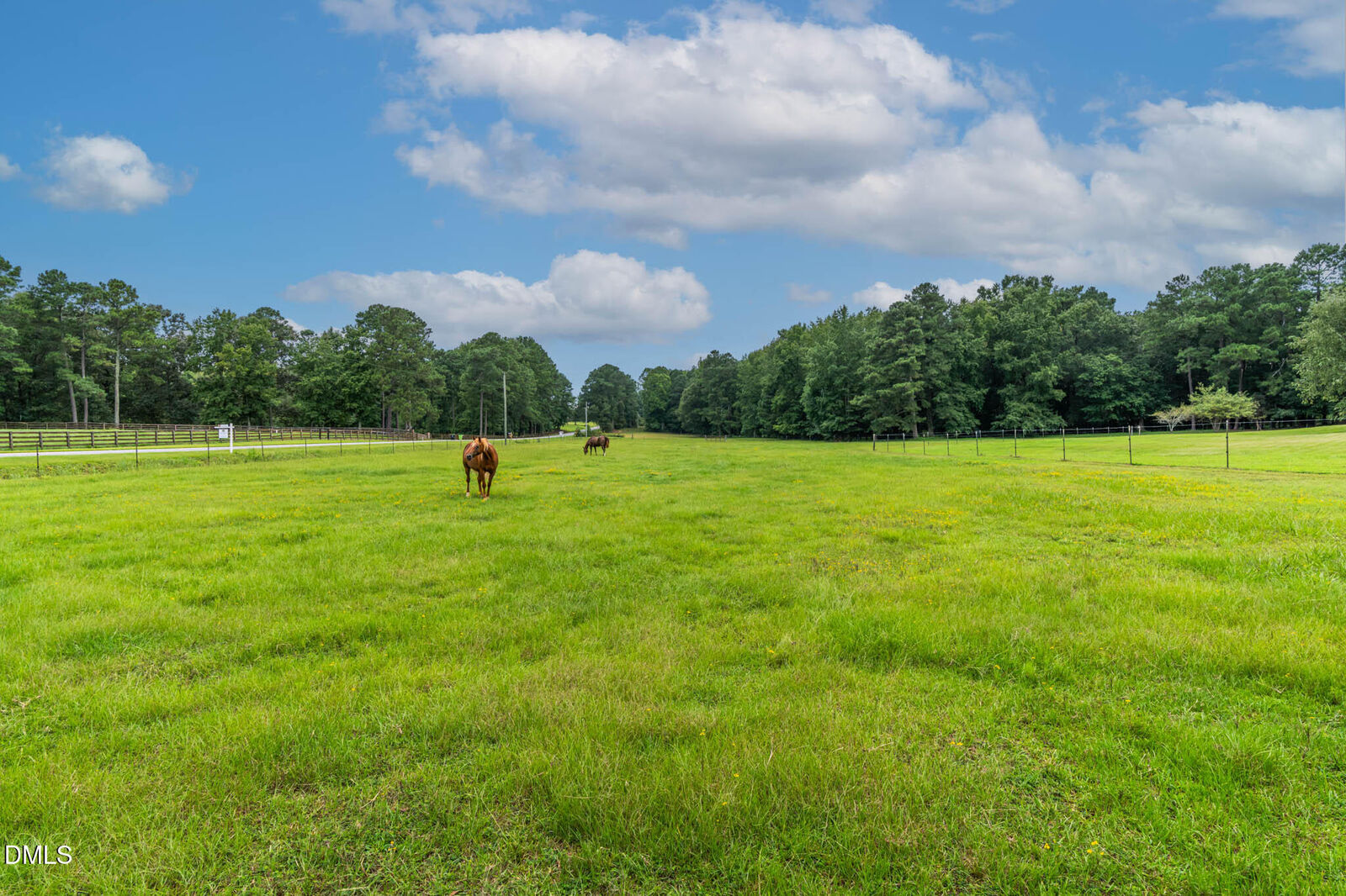 Property Photo: 6406 Pulley Town Road NC 27587