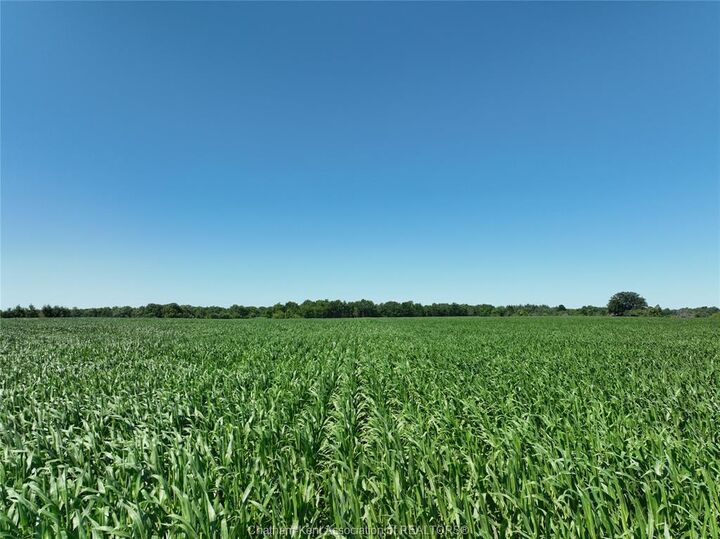 Property Photo: 5355 Carriage Road ON N0L 1G0