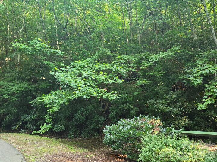 Property Photo: Tbd Henry Dingus Way 26 NC 28751
