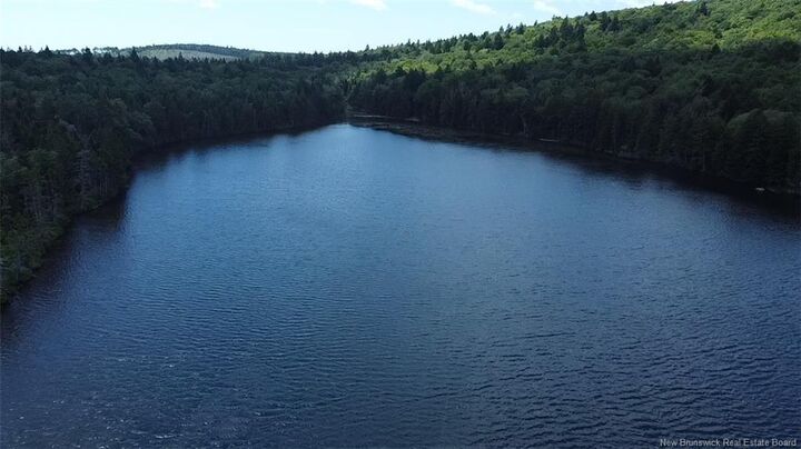 - Big Salmon River Road — photo 1