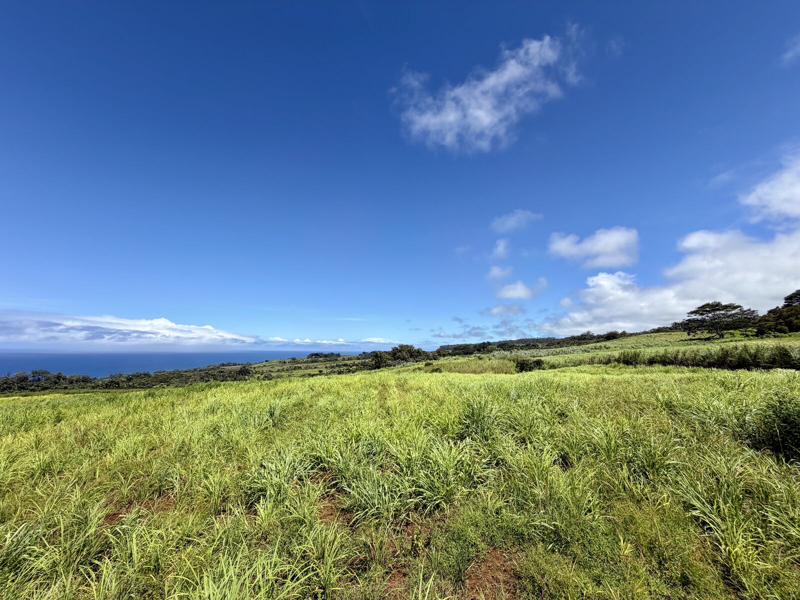 Property Photo:  32-195 Piha Kahuku Rd  HI 96780 