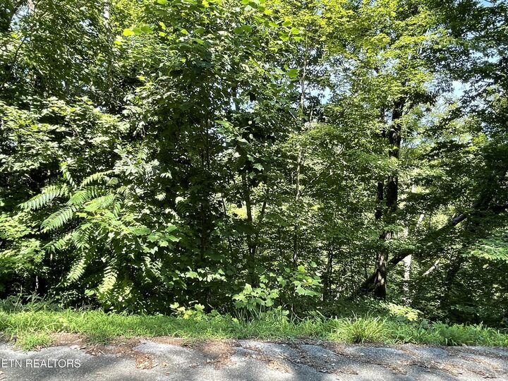 Property Photo: Lot 926 Stoneway Court TN 37890