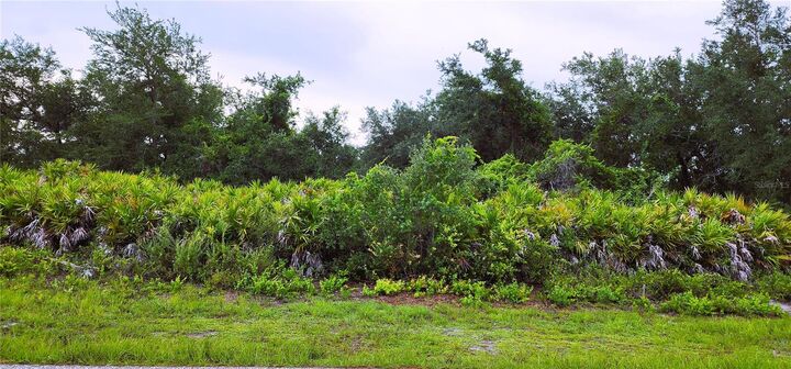 Property Photo: 12242 Bacchus Road FL 33981