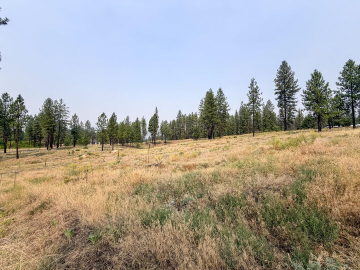 Property Photo: 1315 Inez Way WA 99141