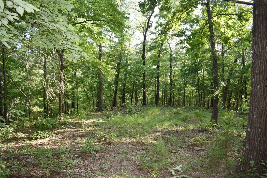 Property Photo: 000 Madison 5430 AR 72727