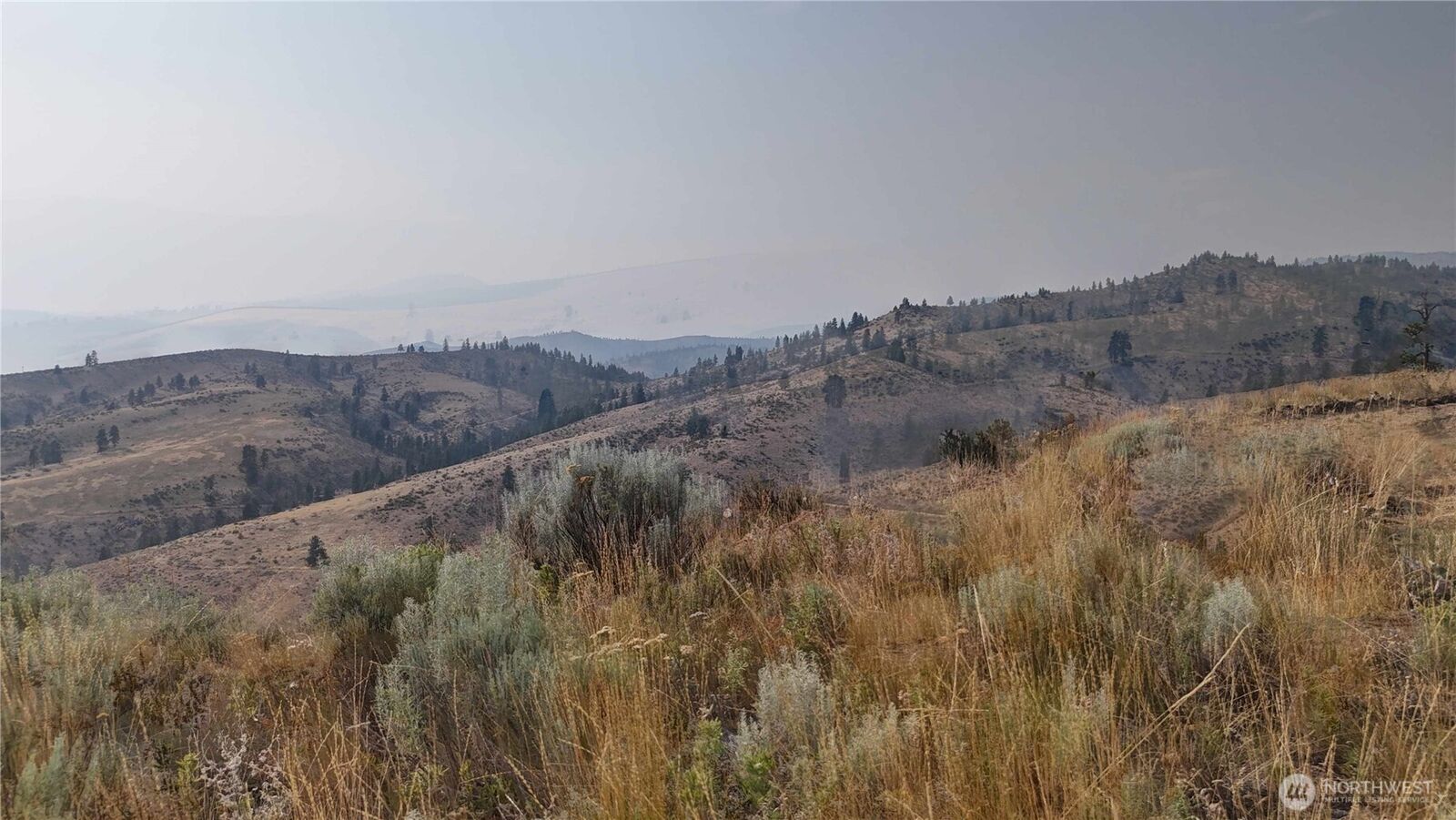 Property Photo:  0  Nna Purtteman Gulch Rd.  WA 98816 