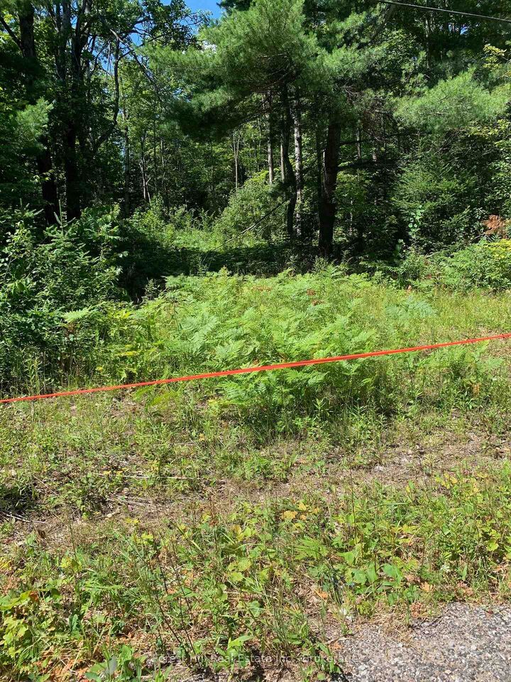 Property Photo:  4225 Southwood Road  ON P0C 1M0 