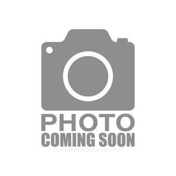 Property Photo:  666 Spadina Avenue 410  ON M5S 2H8 