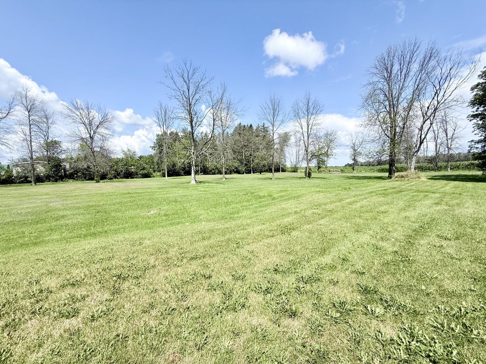 Property Photo: 8010 Route 9 NY 12901