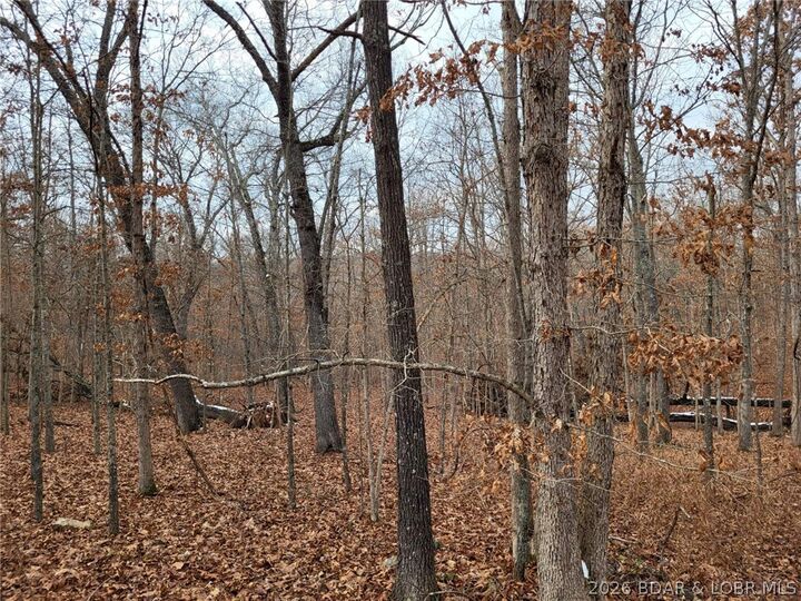 Property Photo:  Dunn Drive 1331  MO 65326 