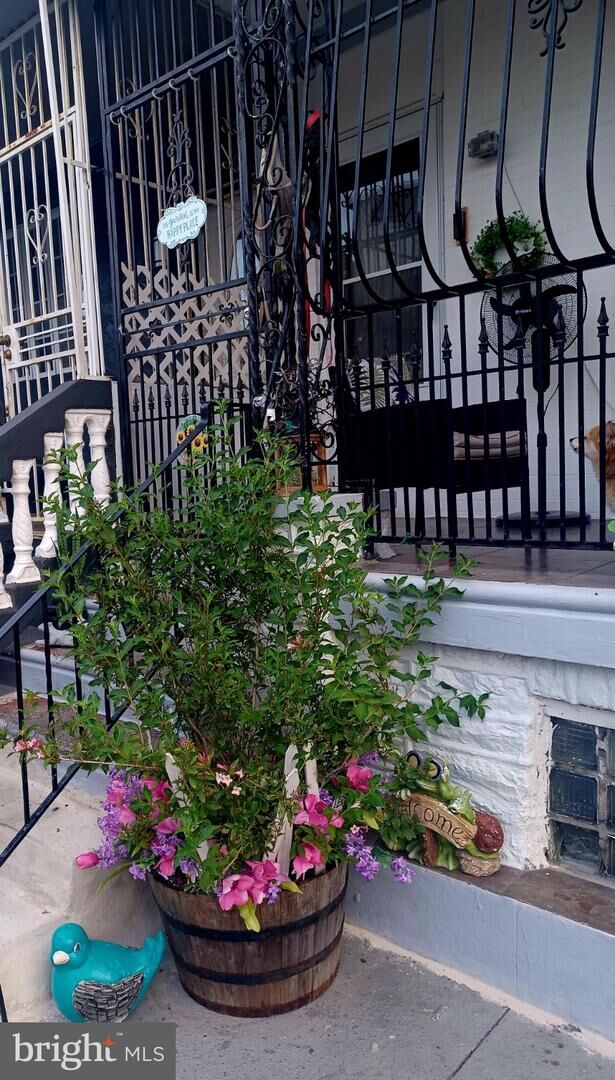 Property Photo: 644 E Hilton Street PA 19134