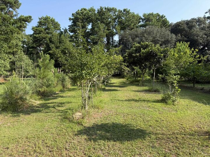 Property Photo: 236 Wraggs Ferry Rd. SC 29440